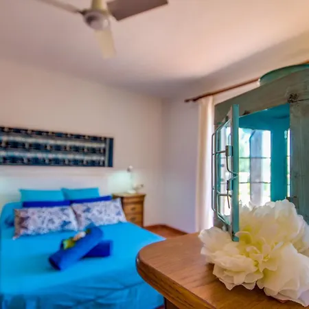 Ideal Mallorca - Angelo *