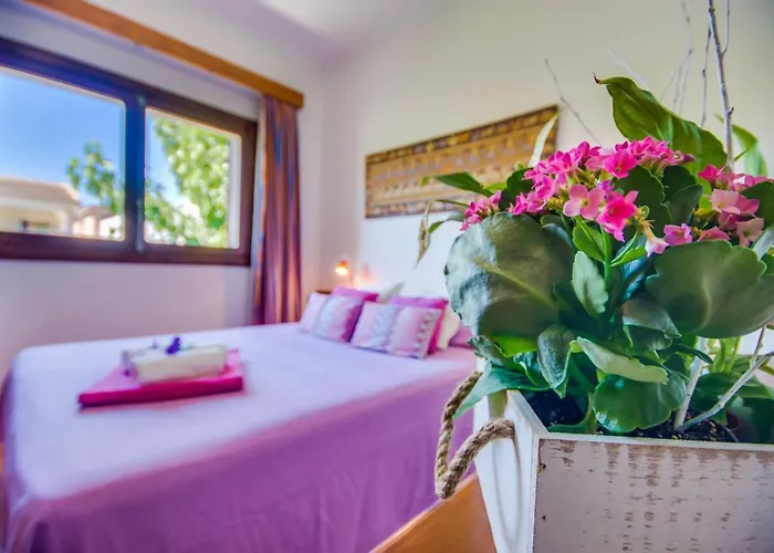 Ideal Mallorca - Angelo