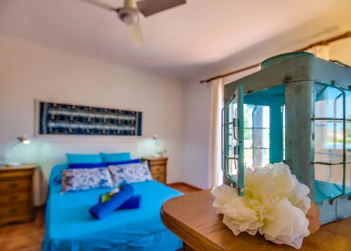 Ideal Mallorca - Angelo *