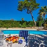 Ideal Mallorca - Angelo Daire