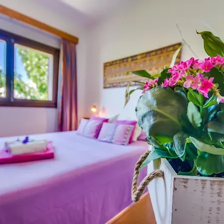 Ideal Mallorca - Angelo